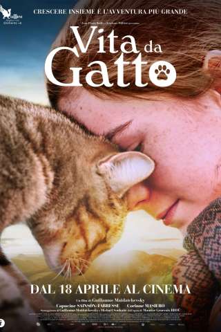 Vita da gatto streaming